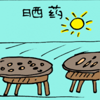 晒药 drying chinese medicinal herbs