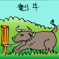 杀牛 killing cow