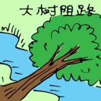 大树阻路 fallen tree