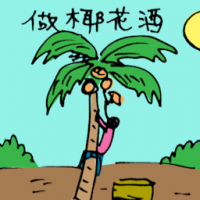 做椰花酒 harvesting toddy