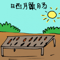 晒腊肠 drying chinese sausage / lap cheong