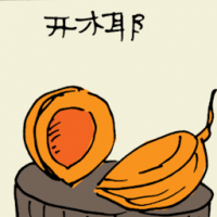 开椰 opened coconut