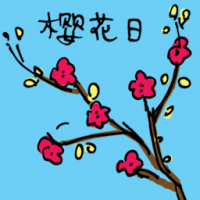 樱花日 oriental cherry