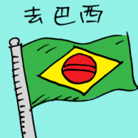 去巴西 travel to brazil