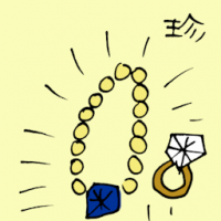 珍 jewelries