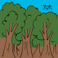 林 tropical forest