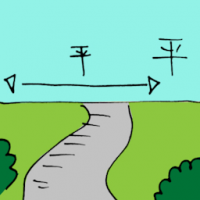 平 level field
