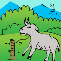 羔 lamb