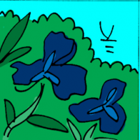 兰 orchid