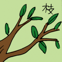 枝 tree branches