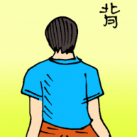 背 back of the body