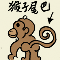猴子尾巴 monkey tail