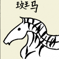 斑马 zebra
