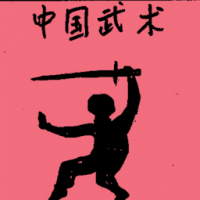 中国武术 chinese wushu