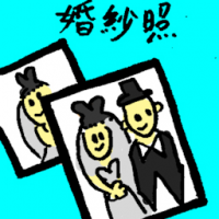 婚纱照 wedding photo