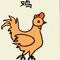 鸡 chicken