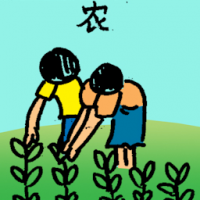 农 agriculture