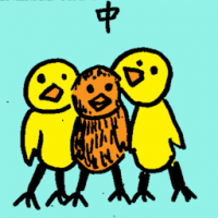 中 middle