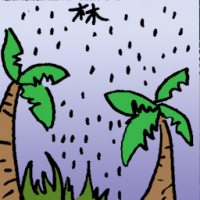林 rain forest
