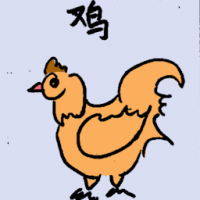鸡 rooster