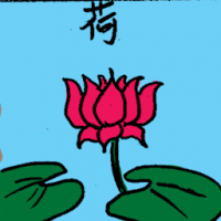 荷 lotus
