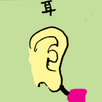耳 ear