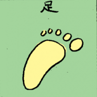 足 foot