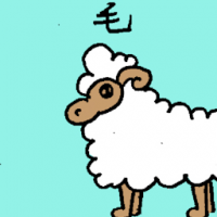 毛 wool
