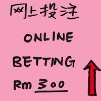 网上投注 online betting