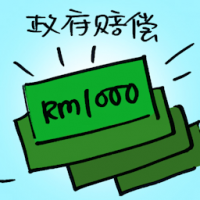 政府赔偿 government compensation