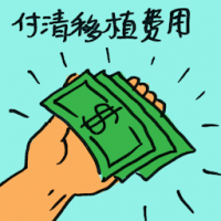 付清移植费用 cleared of graft charge