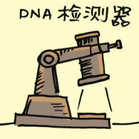 DNA检测器 dna detector