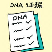 DNA证据 dna evidence