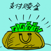 支付赎金 ransom payment