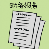 财务报告 financial report