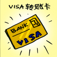 VISA转账卡 visa debit card