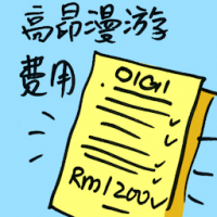 高昂漫游费用 high roaming charges