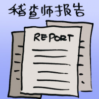 稽查司报告 auditor general report