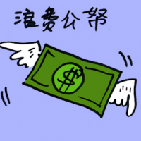 浪费公帑 misuse of funds