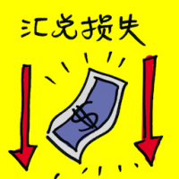 汇兑损失 foreign exchange losses
