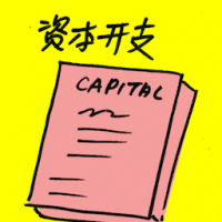 资本开支 capital expenditure