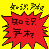 知识产权 intellectual property rights