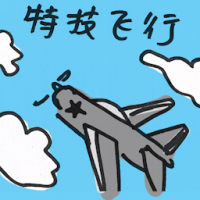 特技飞行 aerobatic manoeuvre