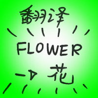 翻译 translation