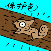 保护色 protective coloration
