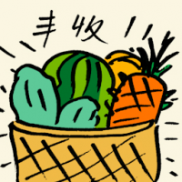 丰收 bumber harvest