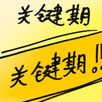 关键期 critical period