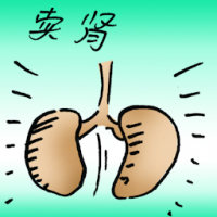 卖肾 sell kidney