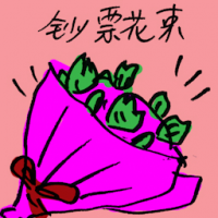 钞票花束 money flower