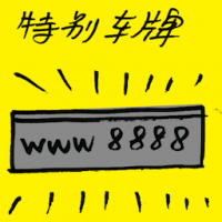 特别车牌 special car plate